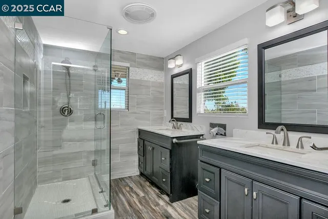 a view of a yard with plants and large trees