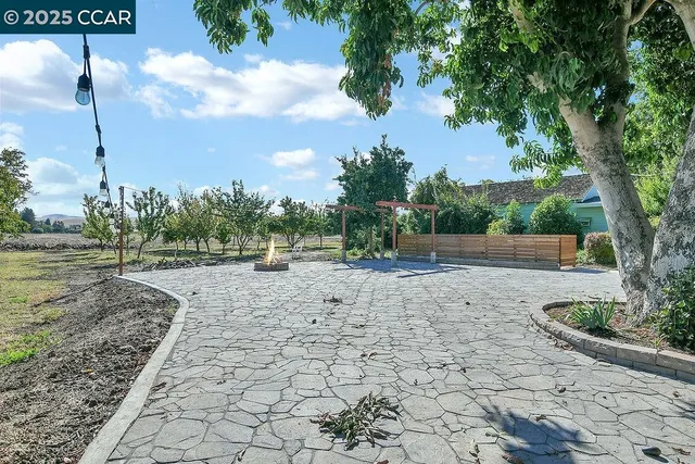 a view of a yard with plants and trees