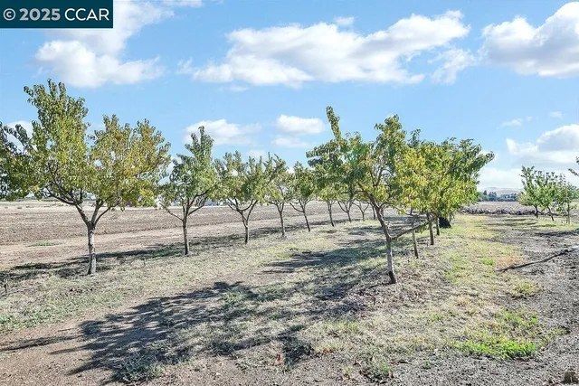 a view of backyard of a house