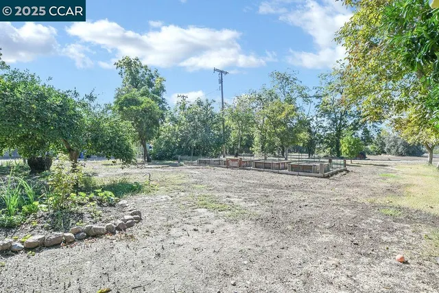 a view of backyard of green space