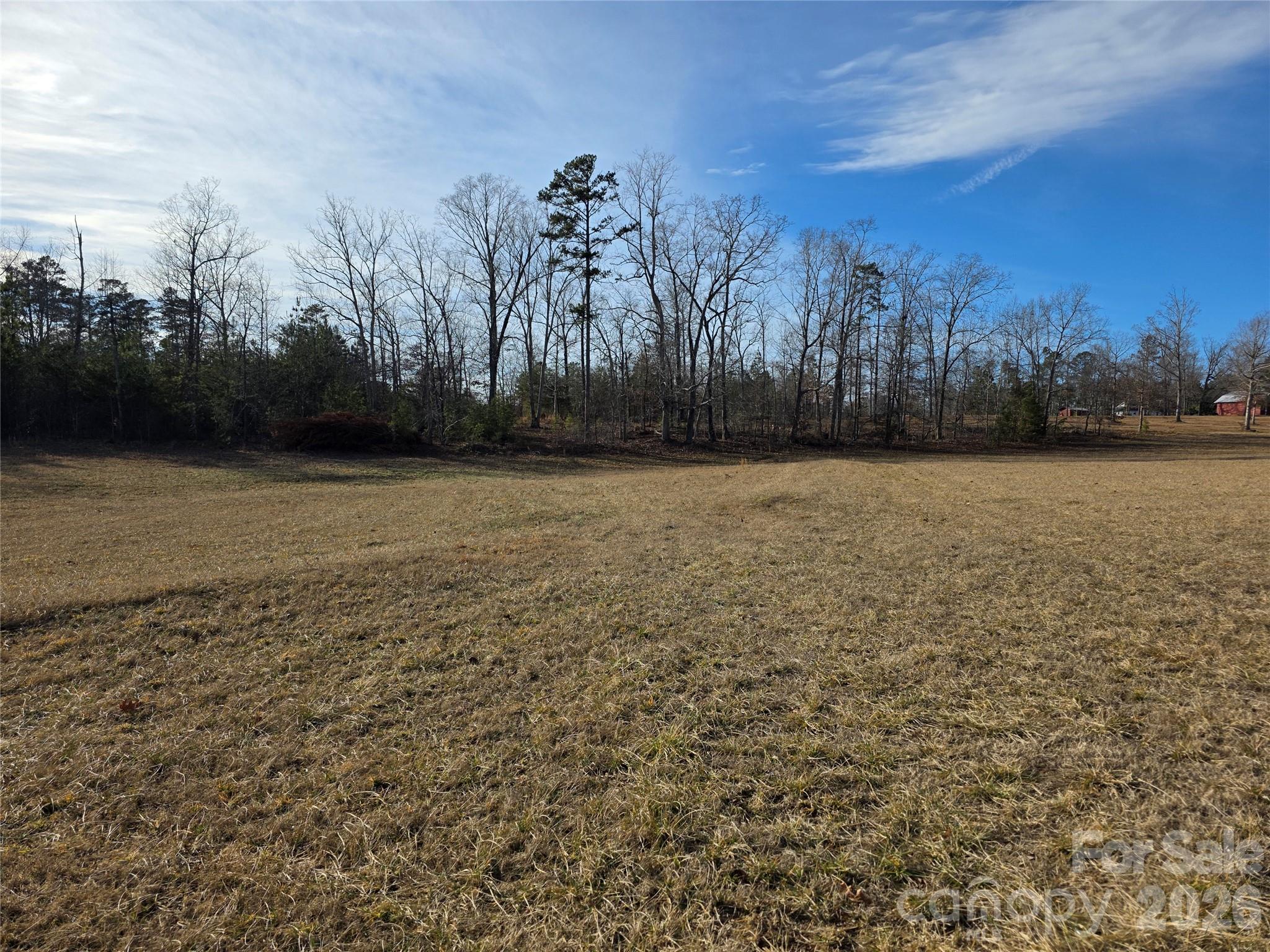 0 County Line Road Rutherfordton, NC 28139 - Photo 3 of 5 Gallery Image 3