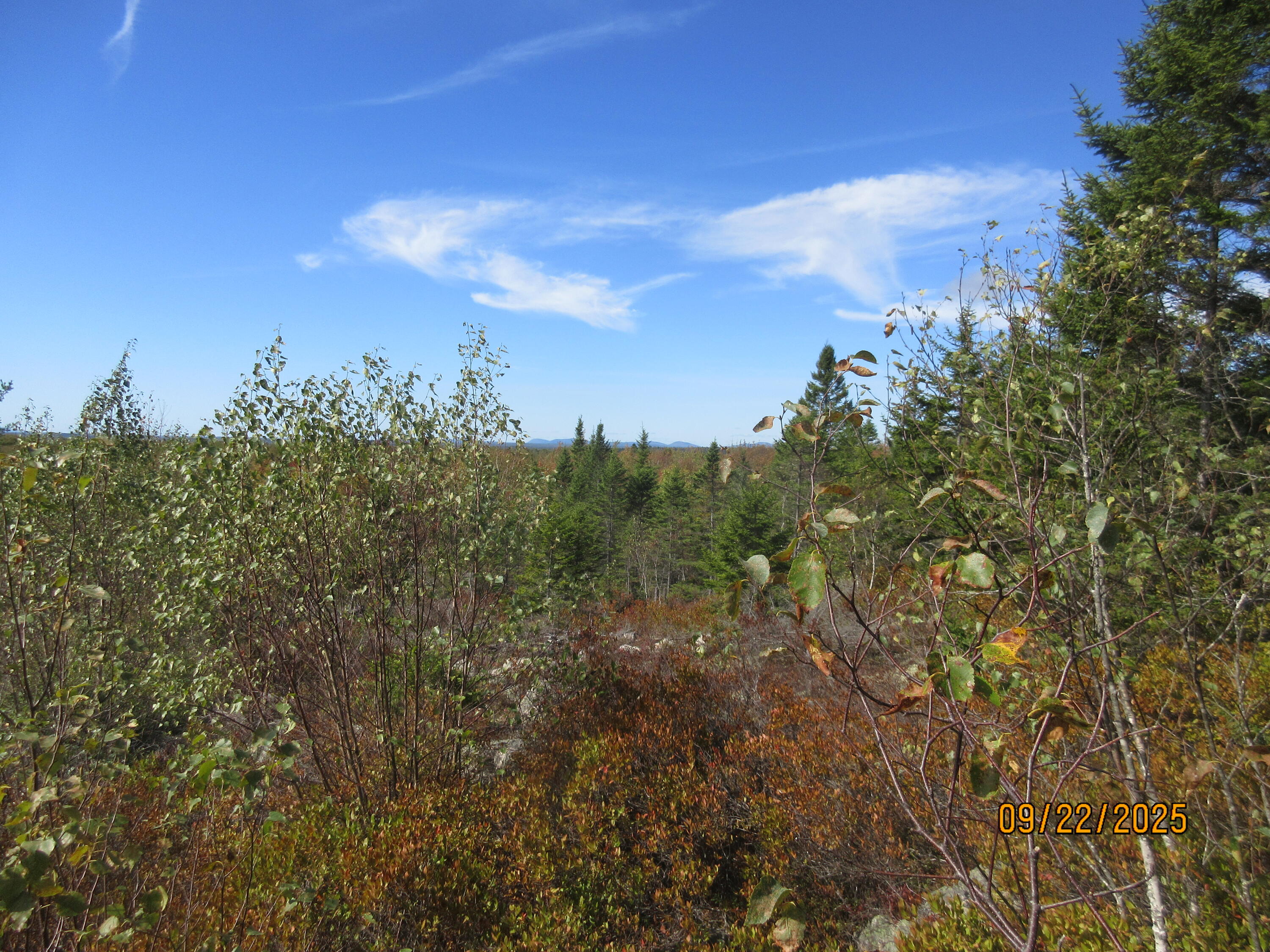 Lot #7 Highland Road Addison, ME 04606 - Photo 5 of 6