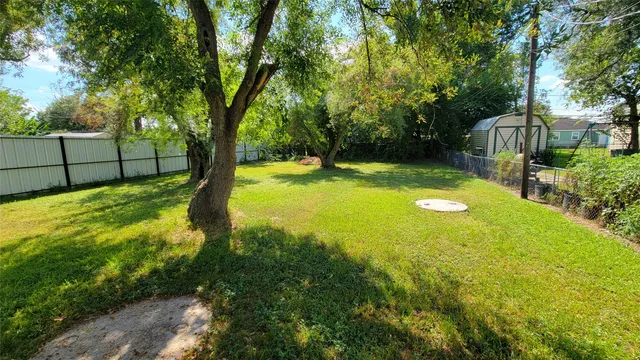 a view of a yard with a tree