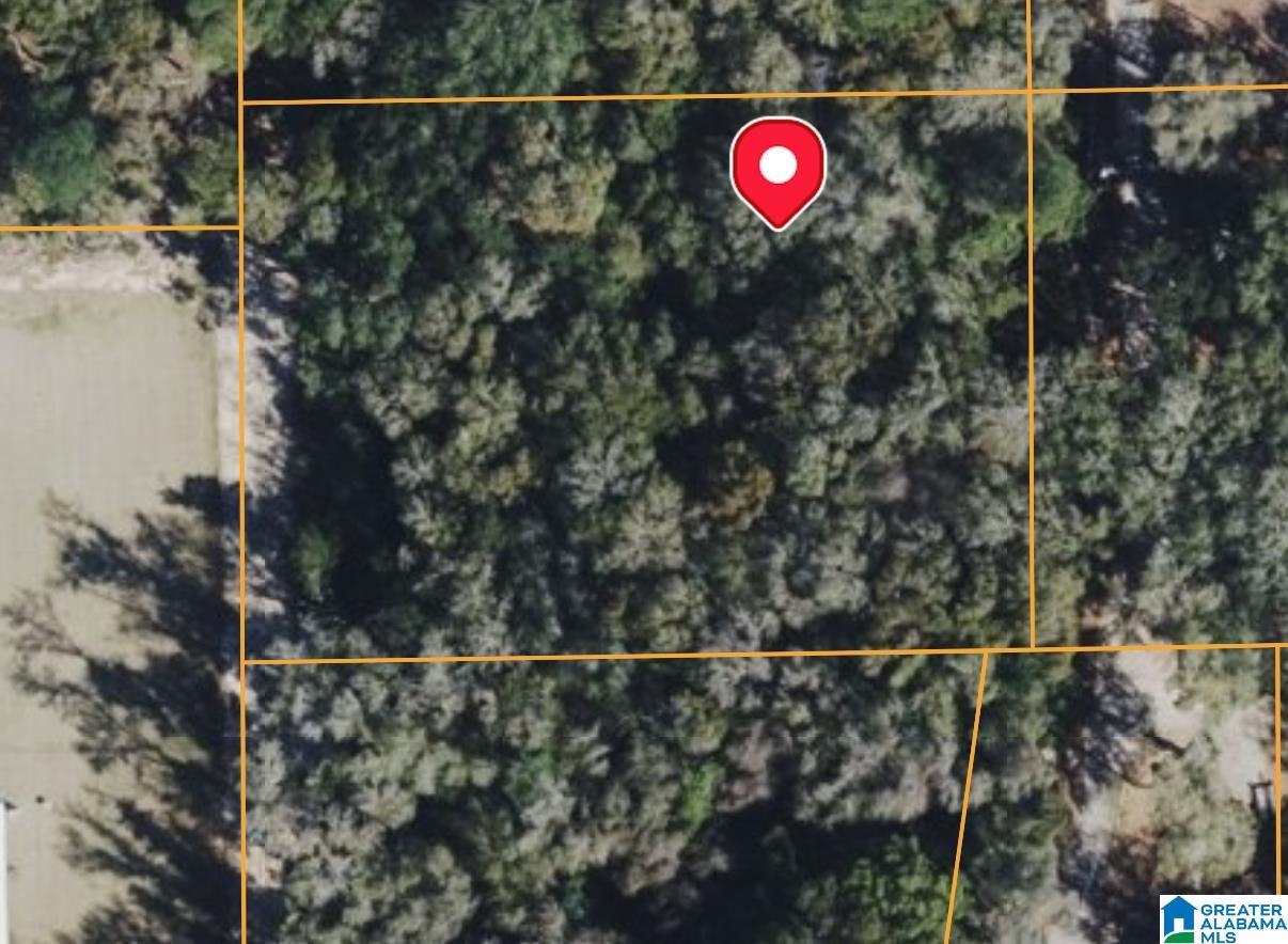 Wilson Lane Fairhope, AL 36532 - Photo 3 of 5