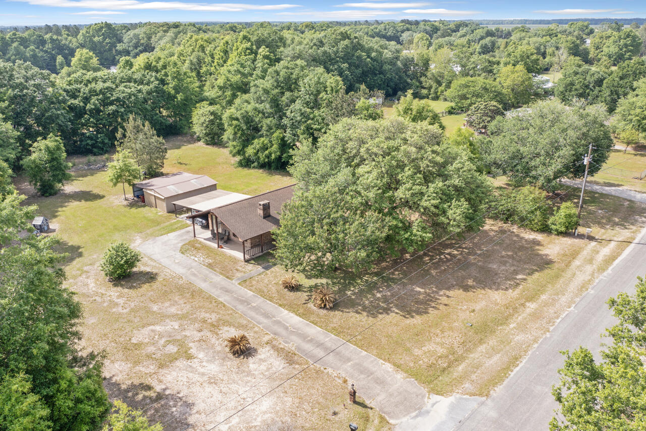 7151 Wallace Drive Pace, FL 32571 - Photo 35 of 40 a view of a backyard with plants and lake view
