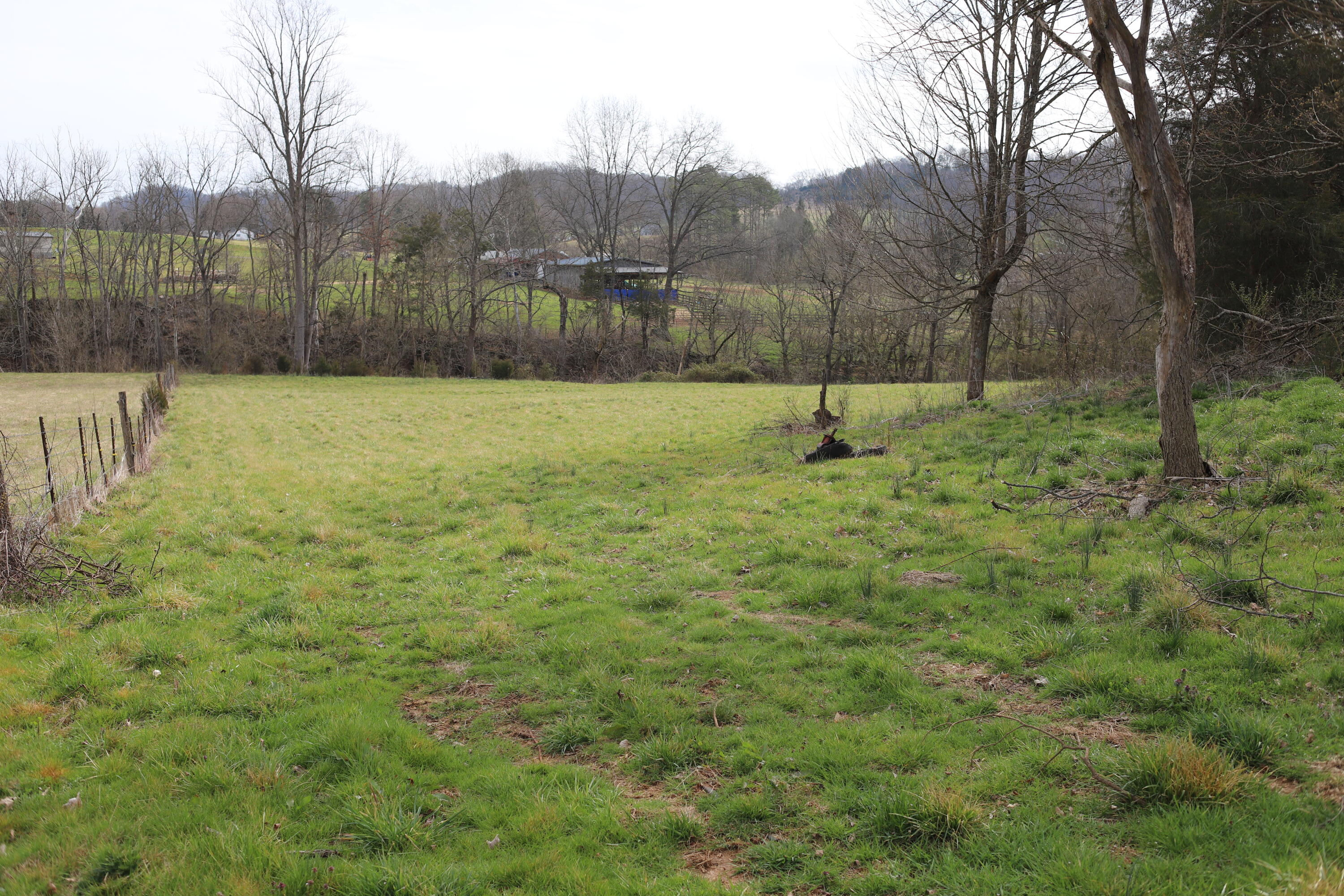 166 Meadow View Road Rogersville, TN 37857 - Photo 1 of 5 E36DE32D-76A4-4067-8CA6-A48240DAC99D