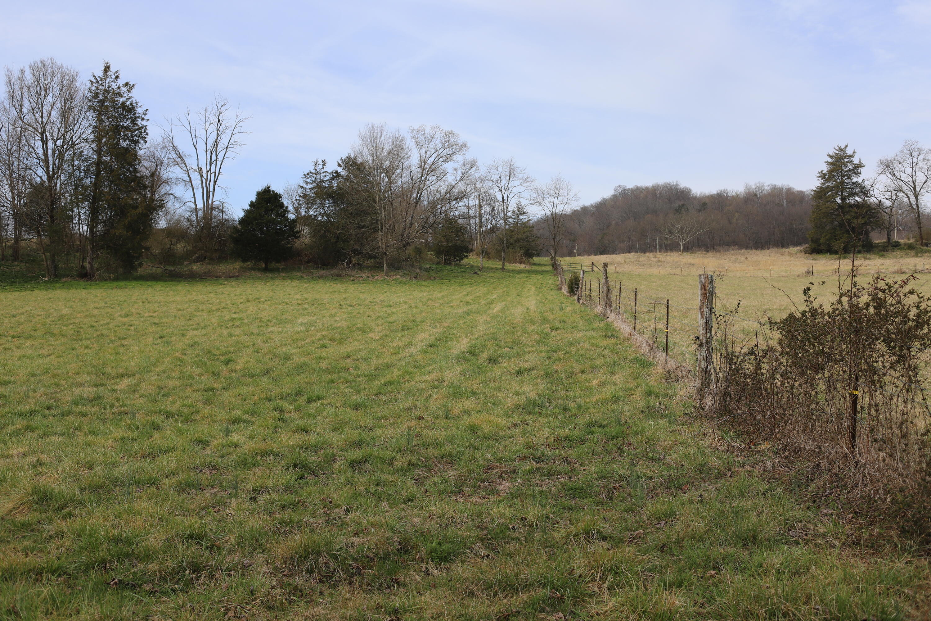 166 Meadow View Road Rogersville, TN 37857 - Photo 4 of 5 674E0206-782B-4562-9108-0BFB76A3A17B