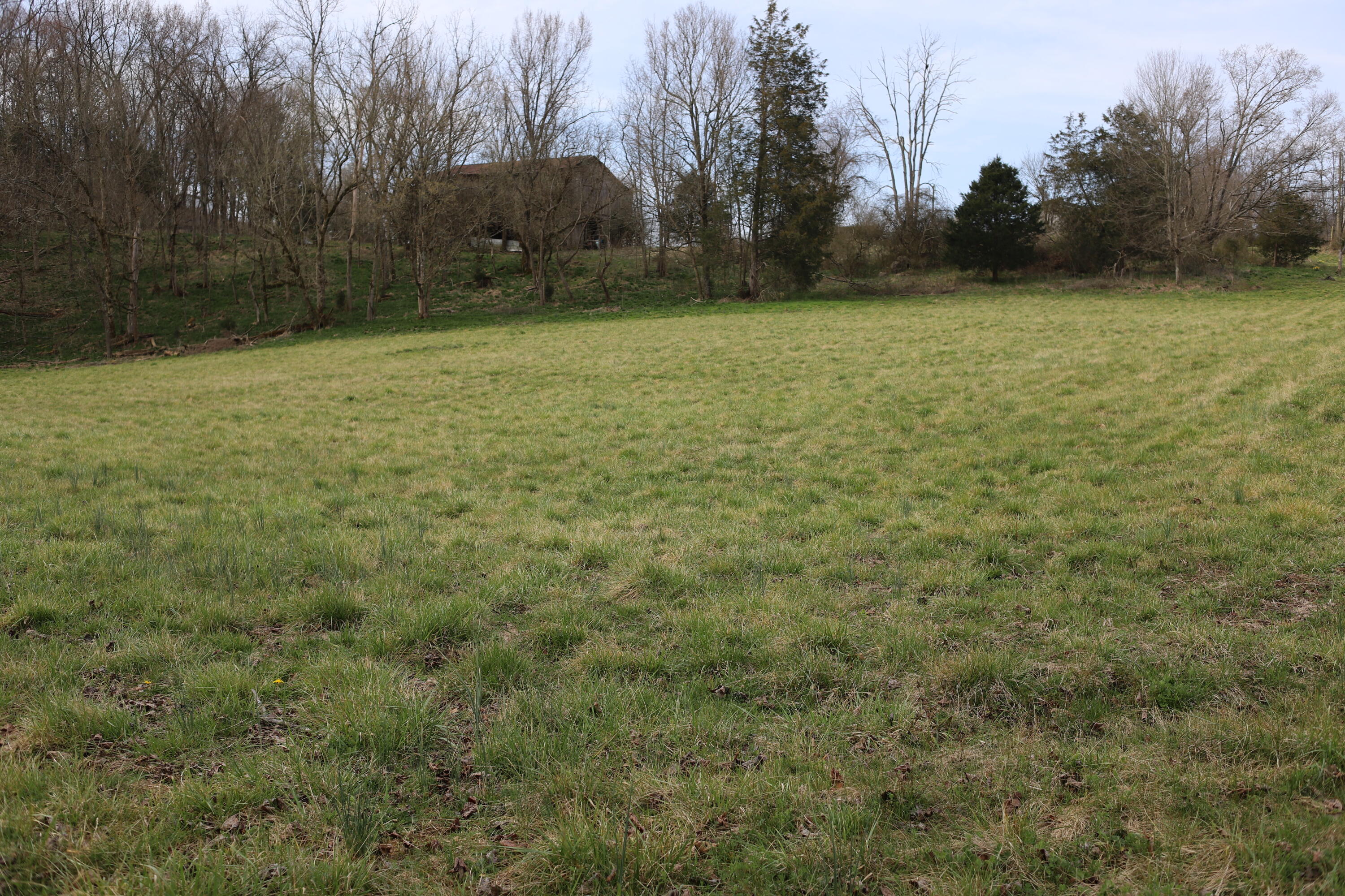 166 Meadow View Road Rogersville, TN 37857 - Photo 5 of 5 C7153DC4-273A-4A68-A173-0AA74A86CC44