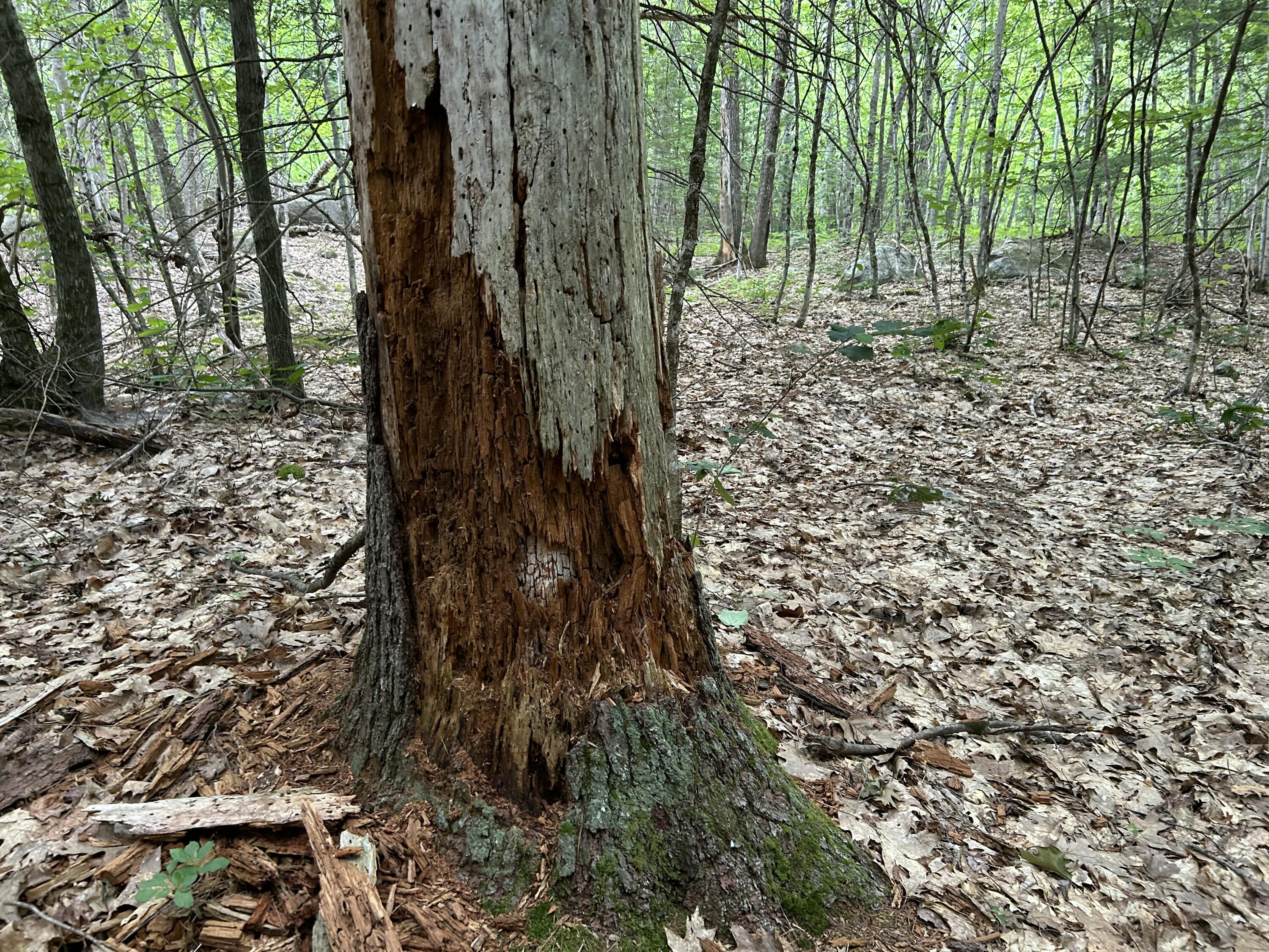 M7-l99h Bolton Hill Road Augusta, ME 04330 - Photo 24 of 30 53