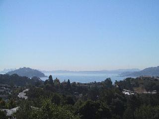111 Reed Ranch Road Tiburon, CA 94920 - Photo 1 of 10 a view of city and mountain