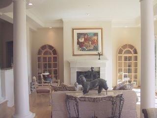 111 Reed Ranch Road Tiburon, CA 94920 - Photo 2 of 10 a living room with fireplace furniture and a potted plant
