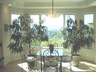 111 Reed Ranch Road Tiburon, CA 94920 - Photo 9 of 10 a view of a porch with a yard