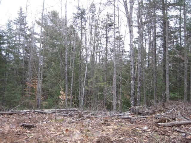 Lot 20 Cardville Road Greenbush, ME 04418 - Photo 3 of 4 Photo