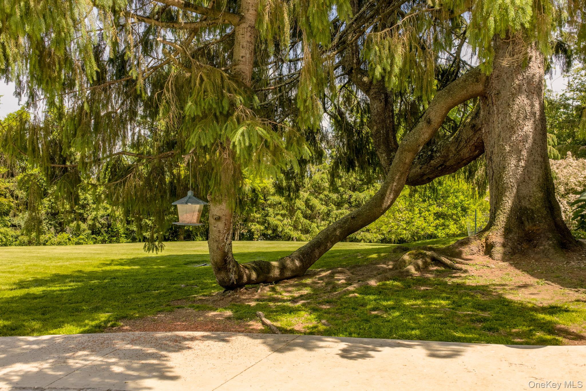 140 Station Road Kingston, NY 12401 - Photo 46 of 50