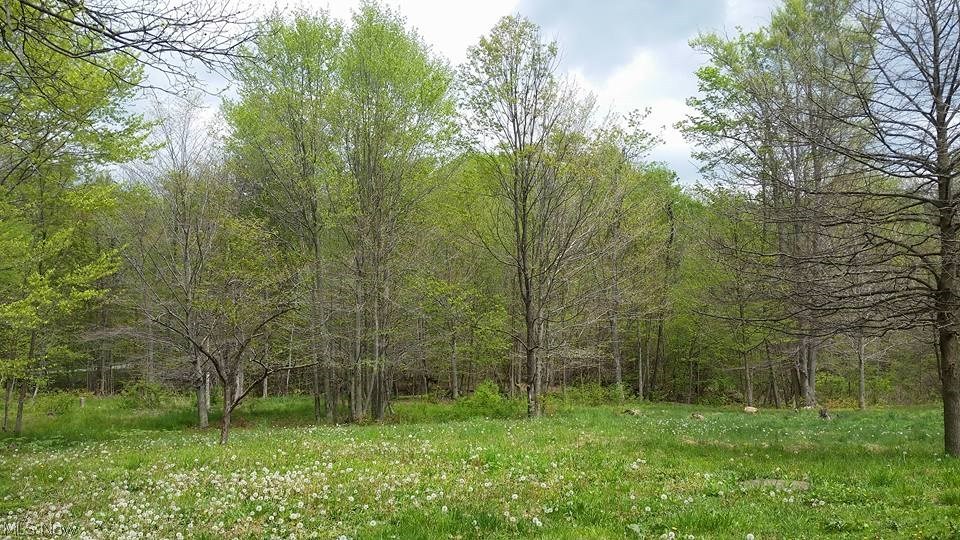 5406 Laskey Road Rome, OH 44085 - Photo 27 of 30