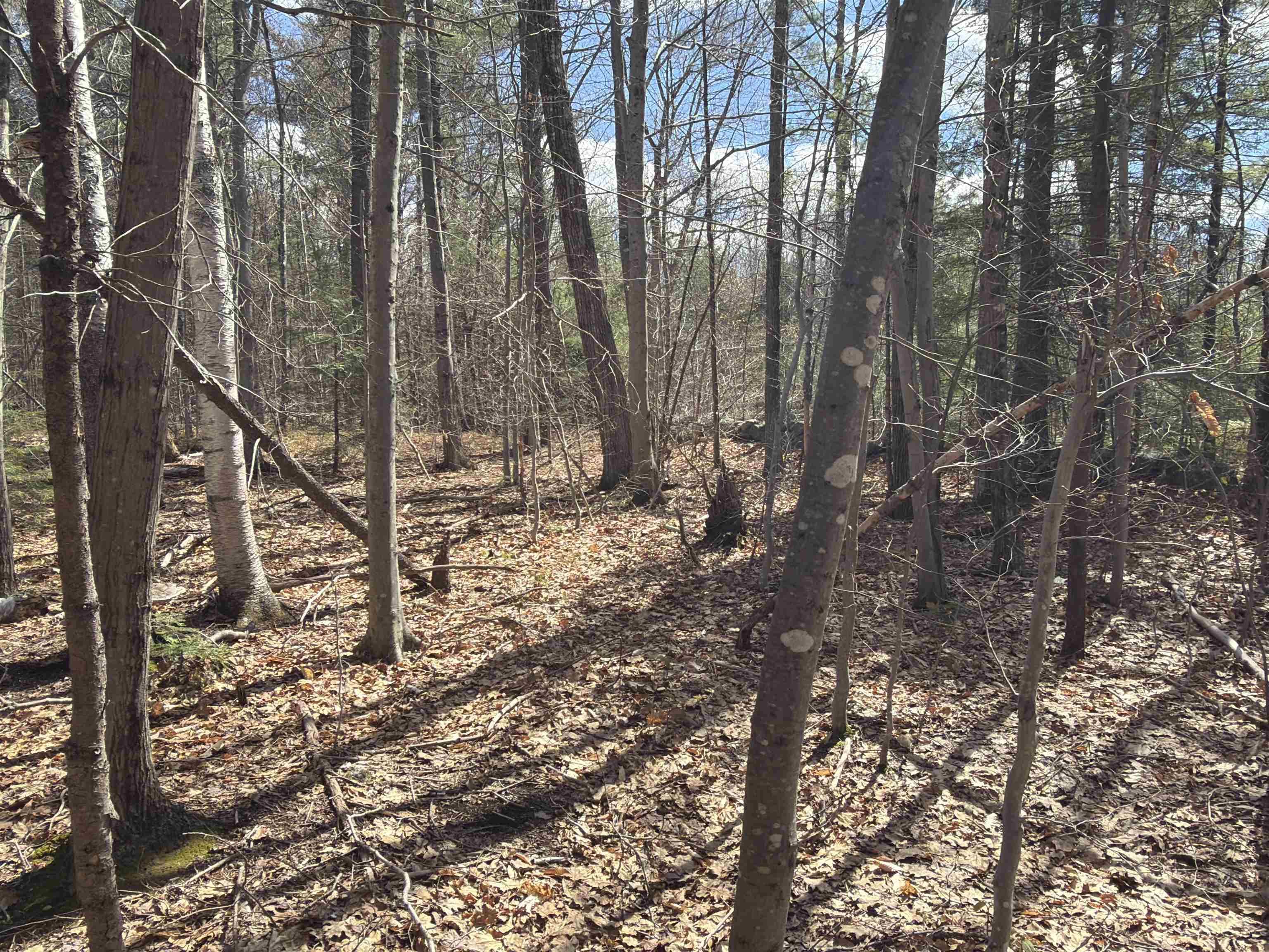 R29-l9 Roxbury Road, Unit LOT 9 Meredith, NH 03253 - Photo 35 of 36
