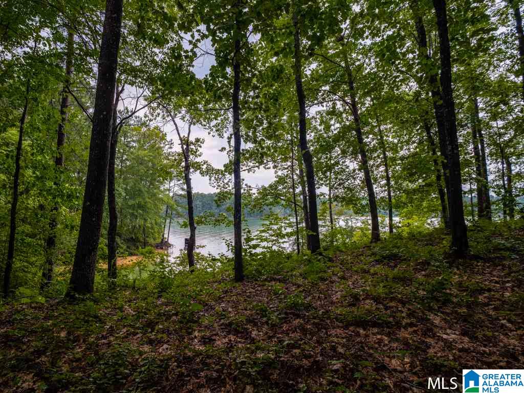 Long Leaf Road, Unit 9 Double Springs, AL 35553 - Photo 13 of 15