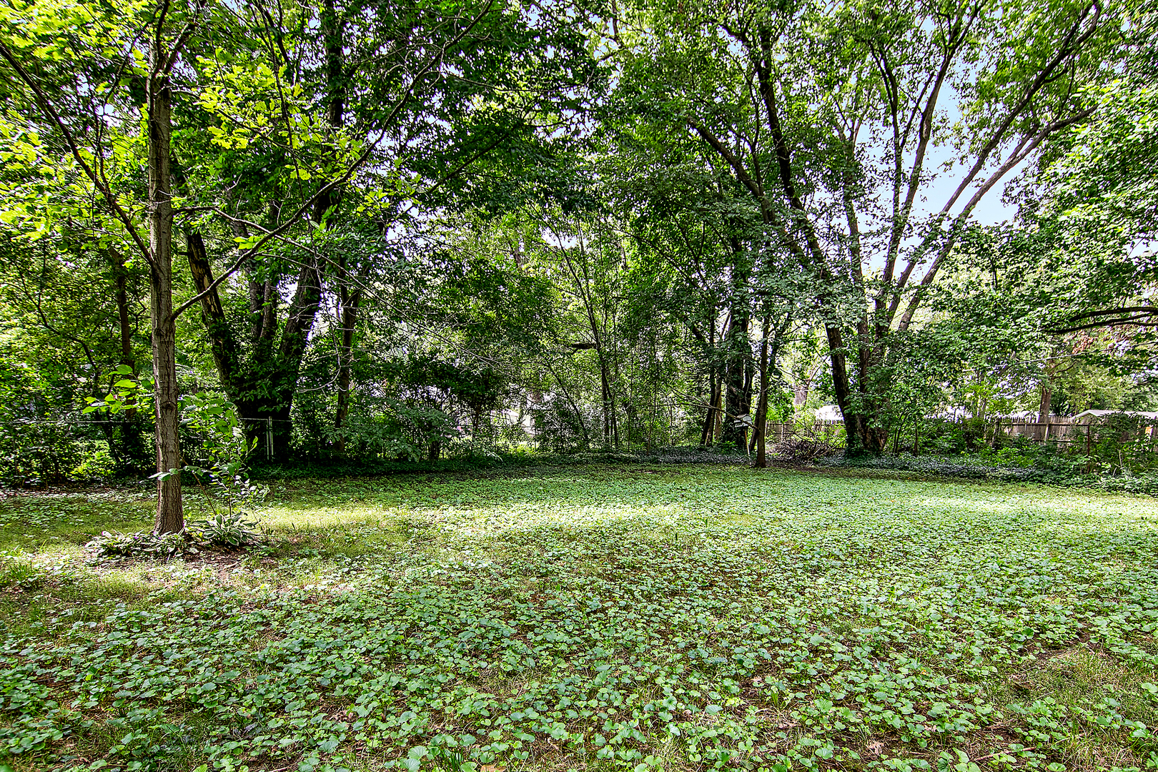 22 Erin Lane Kankakee, IL 60901 - Photo 37 of 45 a view of a trees