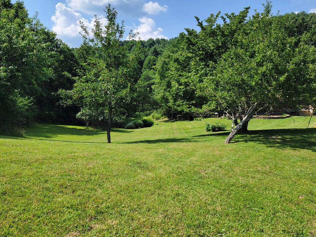 3569 Powerhouse Road Independence, VA 24348 - Photo 37 of 108 Gallery Image 37