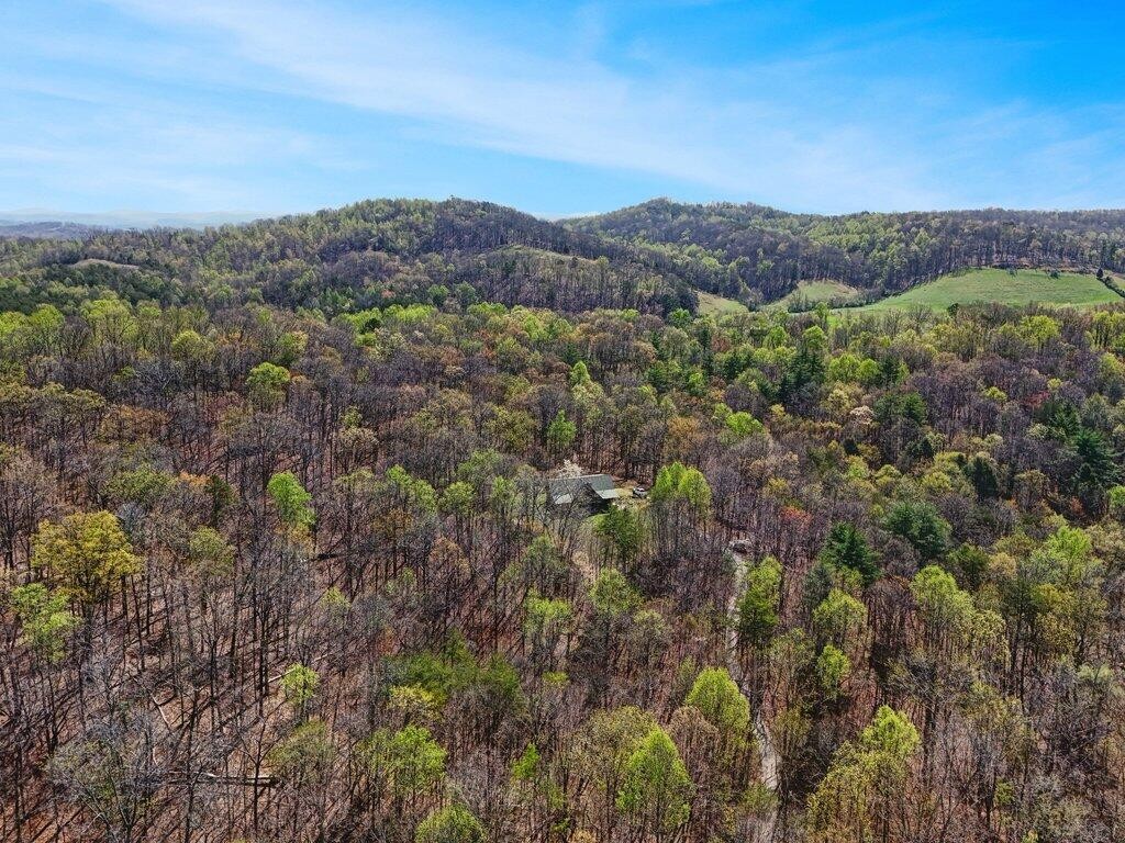 29088 Rhea County Highway Spring City, TN 37381 - Photo 47 of 53