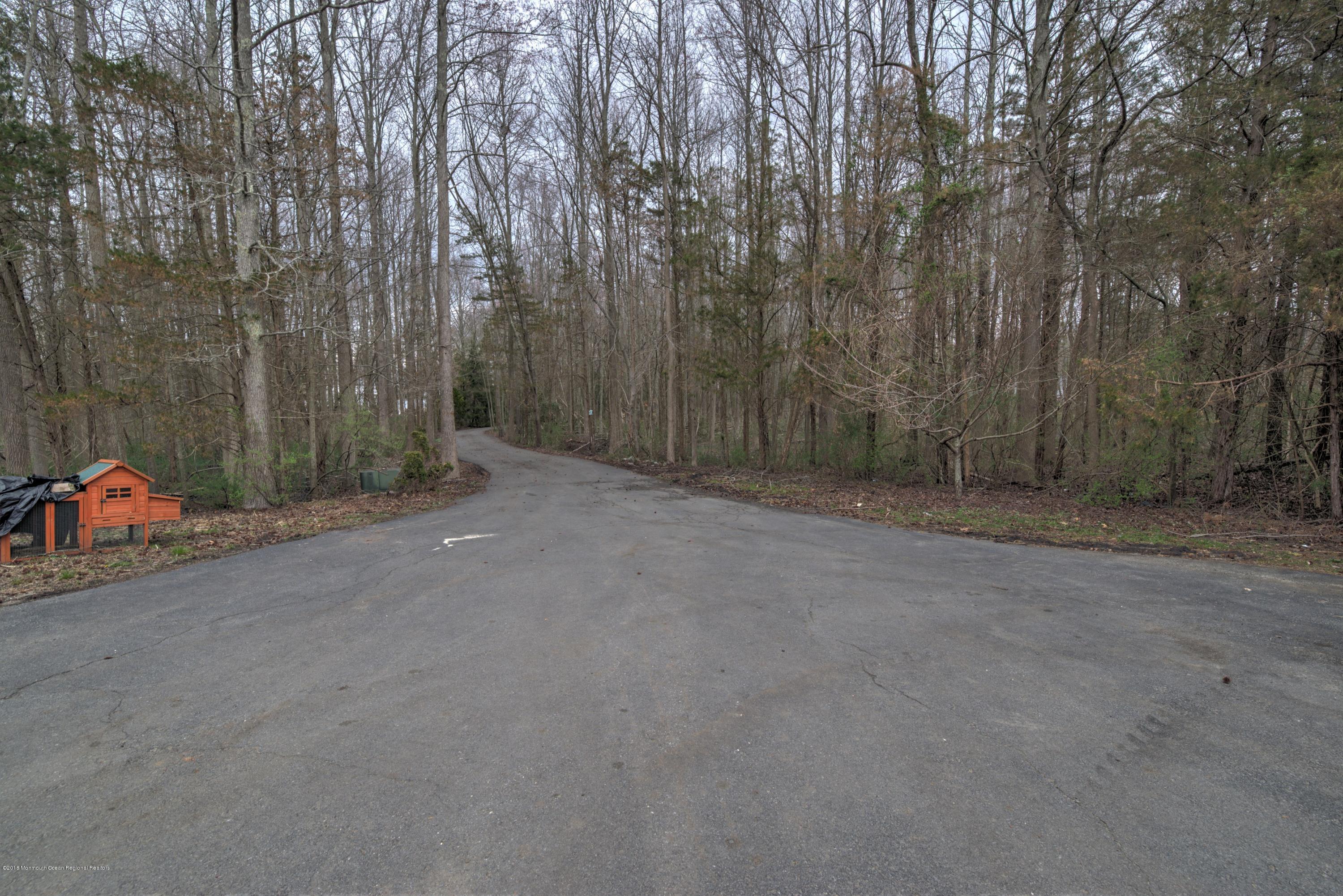 20 Hornerstown Road Cream Ridge, NJ 08514 - Photo 2 of 28 a view of a forest