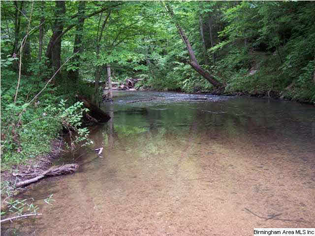 Narrows Road, Unit 168 Remlap, AL 35133 - Photo 12 of 21