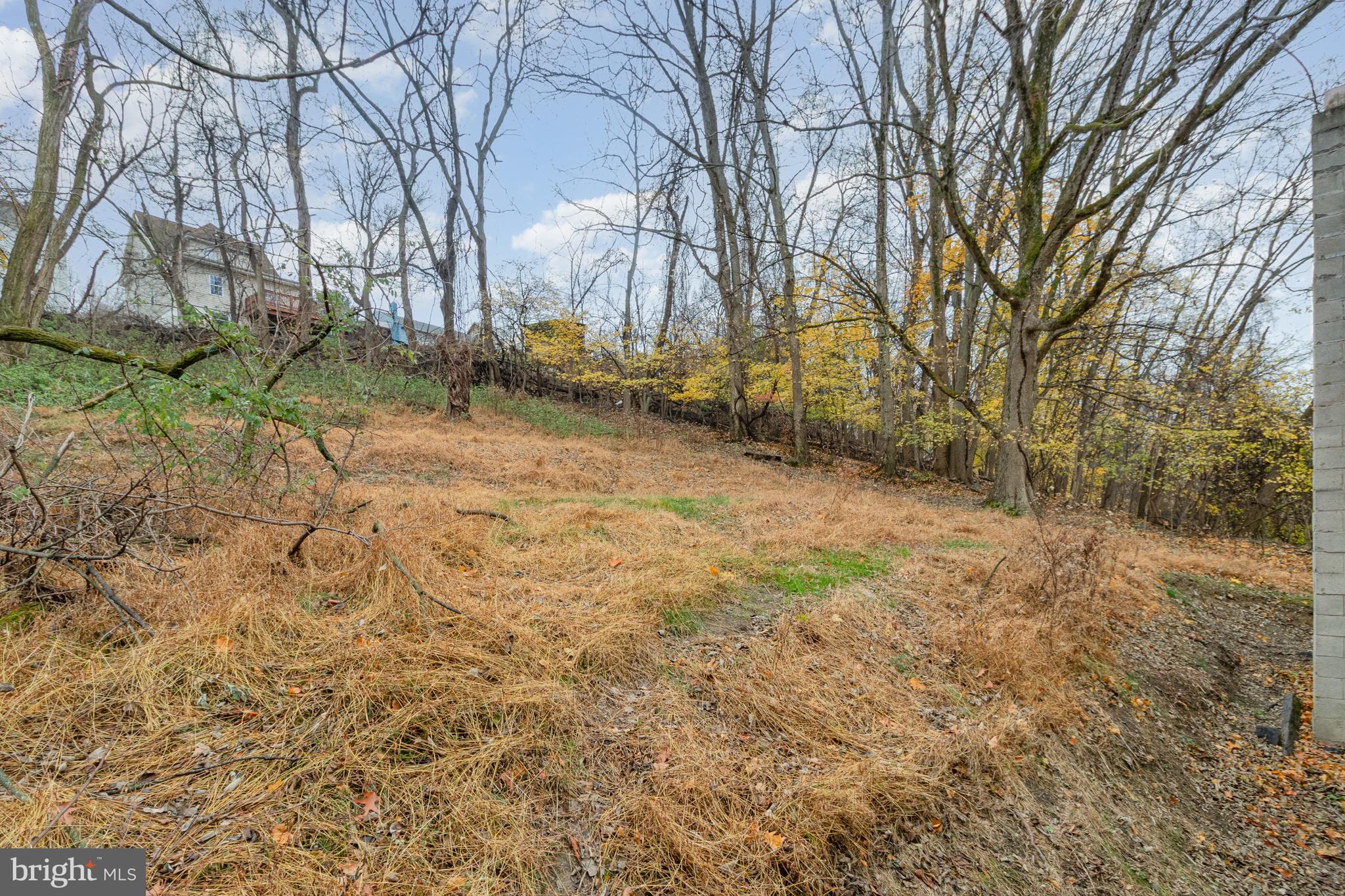 650 Mohn Street Harrisburg, PA 17113 - Photo 25 of 29 a backyard of a house with lots of green space