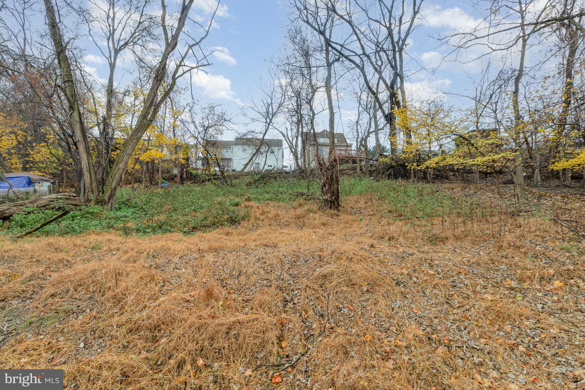 650 Mohn Street Harrisburg, PA 17113 - Photo 26 of 29 a backyard of a house with lots of green space
