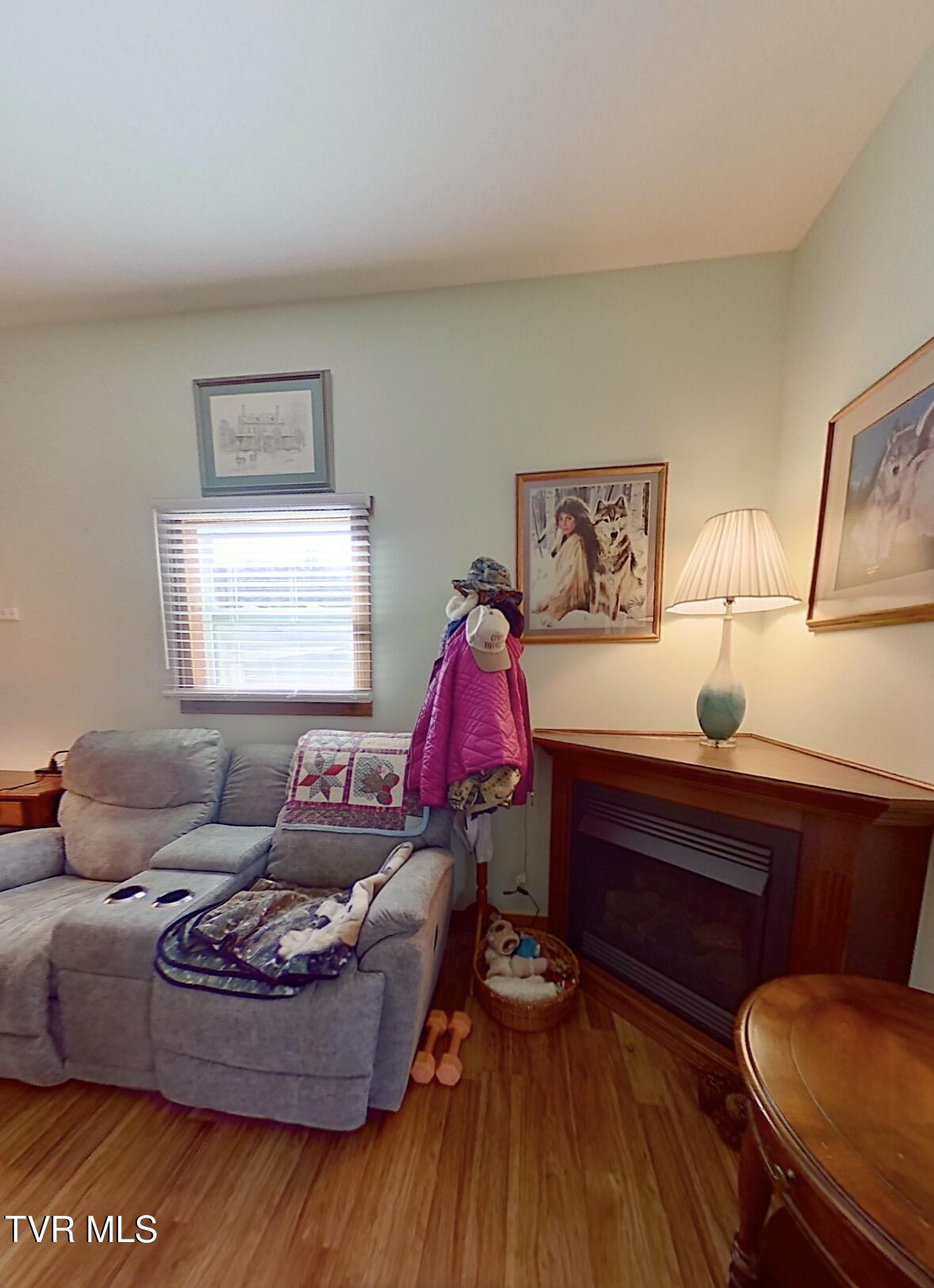 3693 Sane Road Parrottsville, TN 37843 - Photo 4 of 39 3693 Living room 2