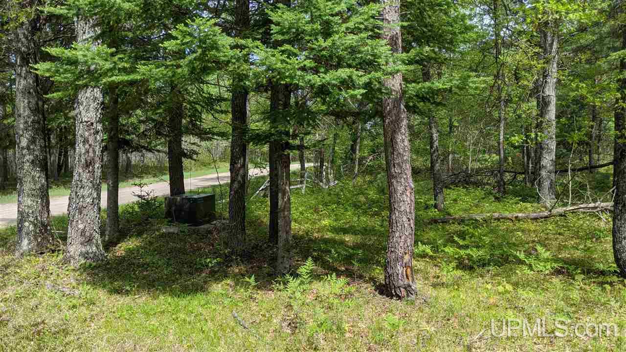 T-wi Wi 54121 Road Florence, WI 54121 - Photo 1 of 11