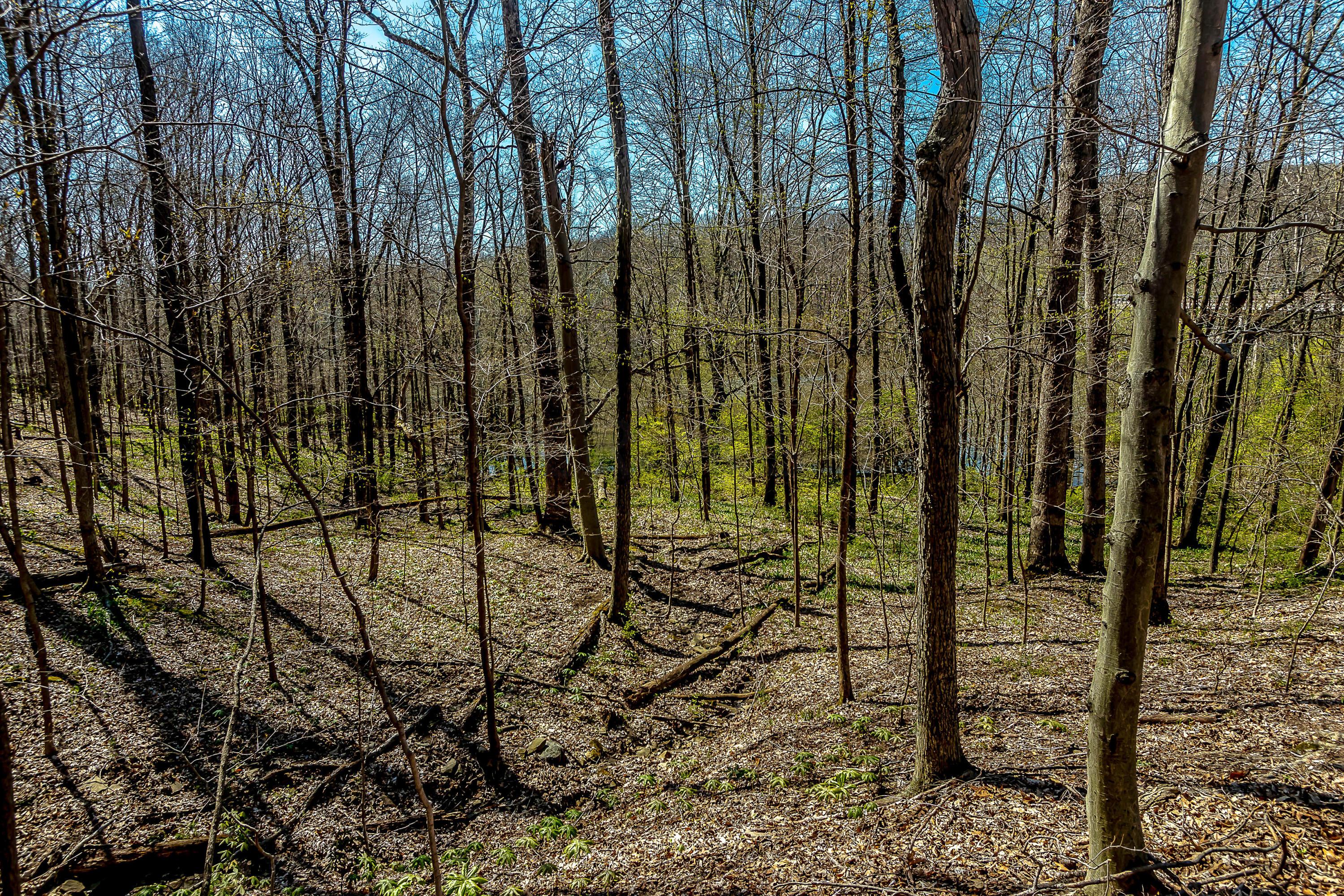 6705 Red Bank Road Galena, OH 43021 - Photo 19 of 23 Gallery Image 19