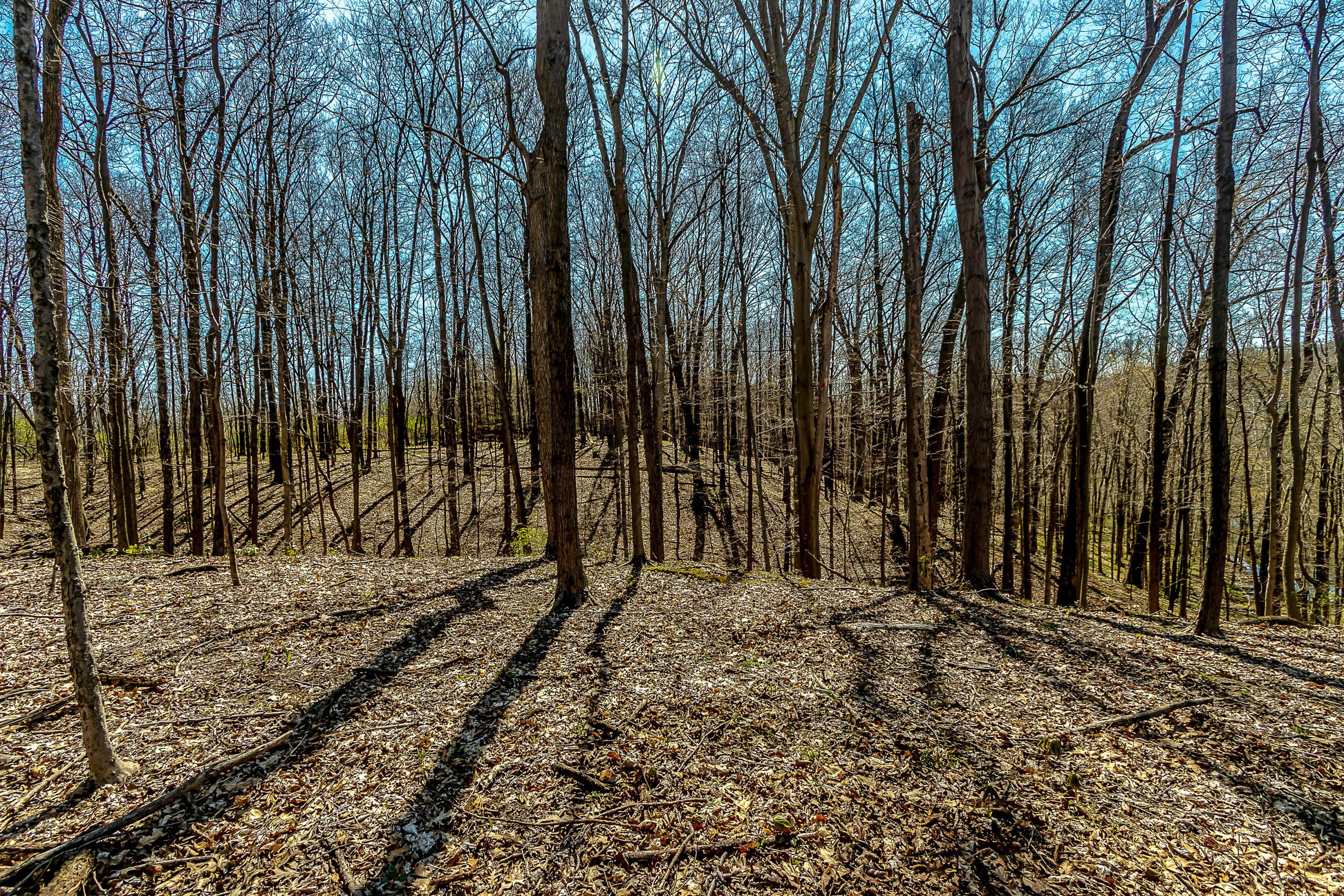 6705 Red Bank Road Galena, OH 43021 - Photo 20 of 23 Gallery Image 20