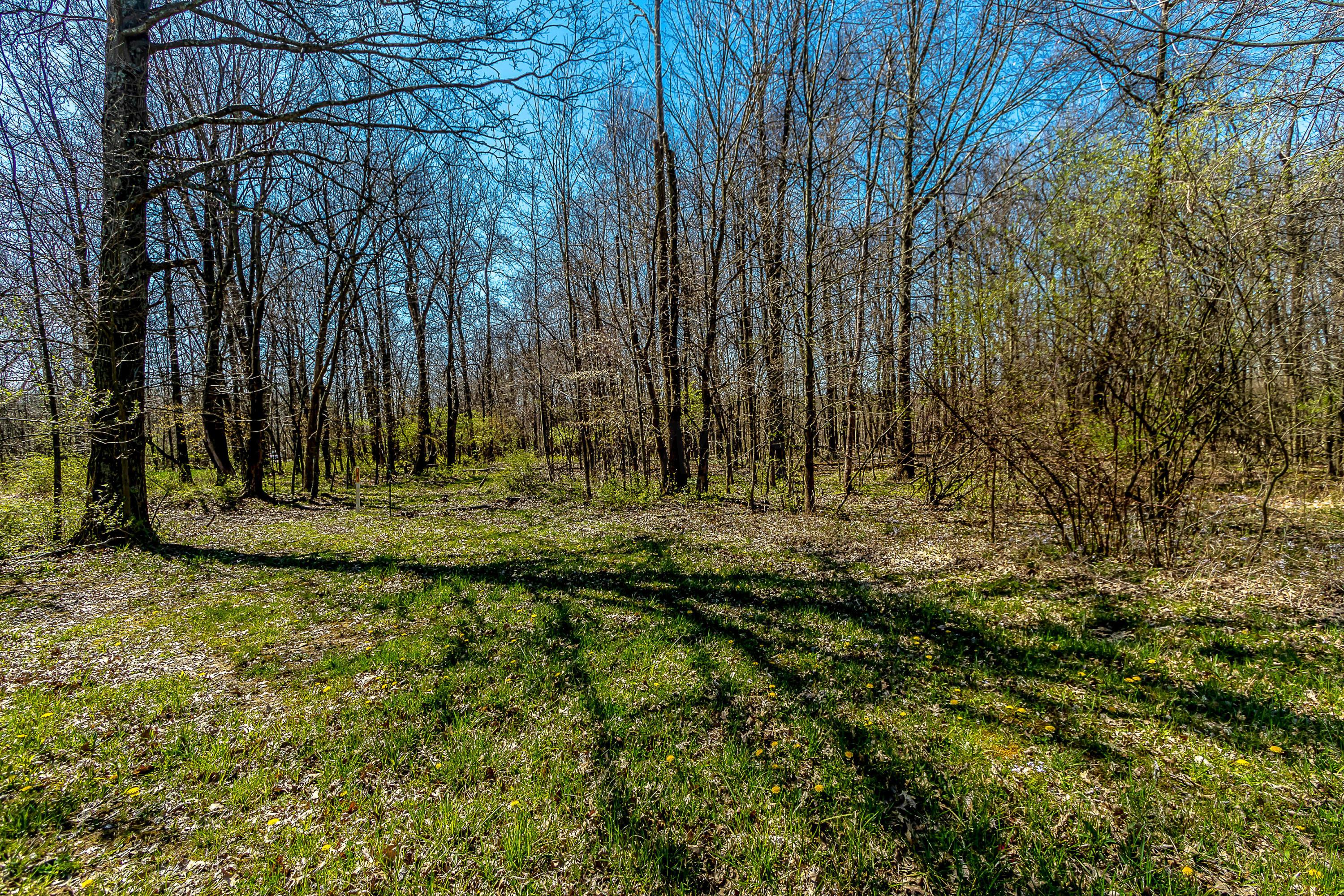 6705 Red Bank Road Galena, OH 43021 - Photo 23 of 23 Gallery Image 23