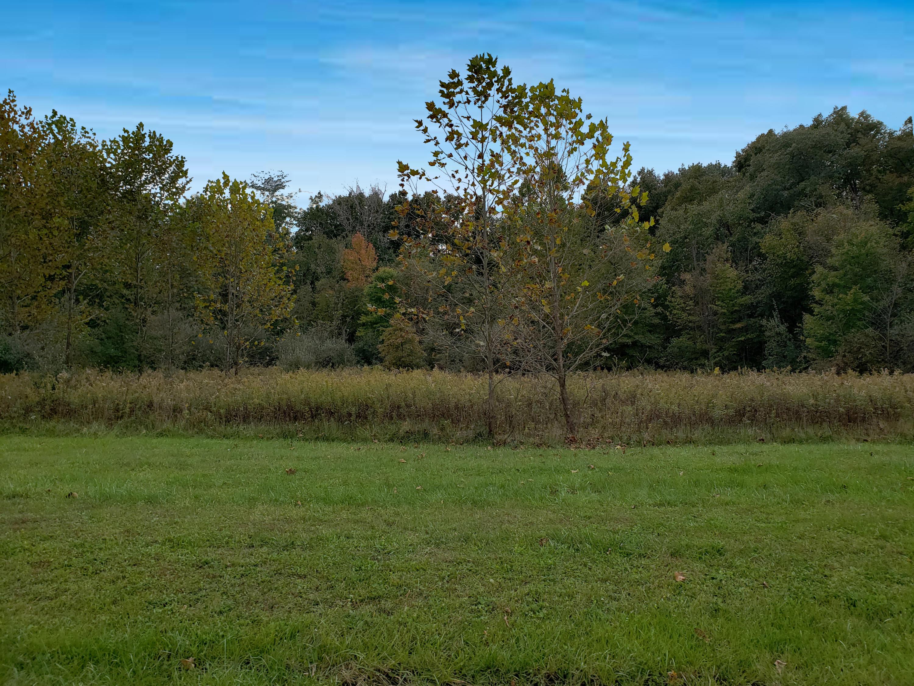 6705 Red Bank Road Galena, OH 43021 - Photo 7 of 23 Gallery Image 7
