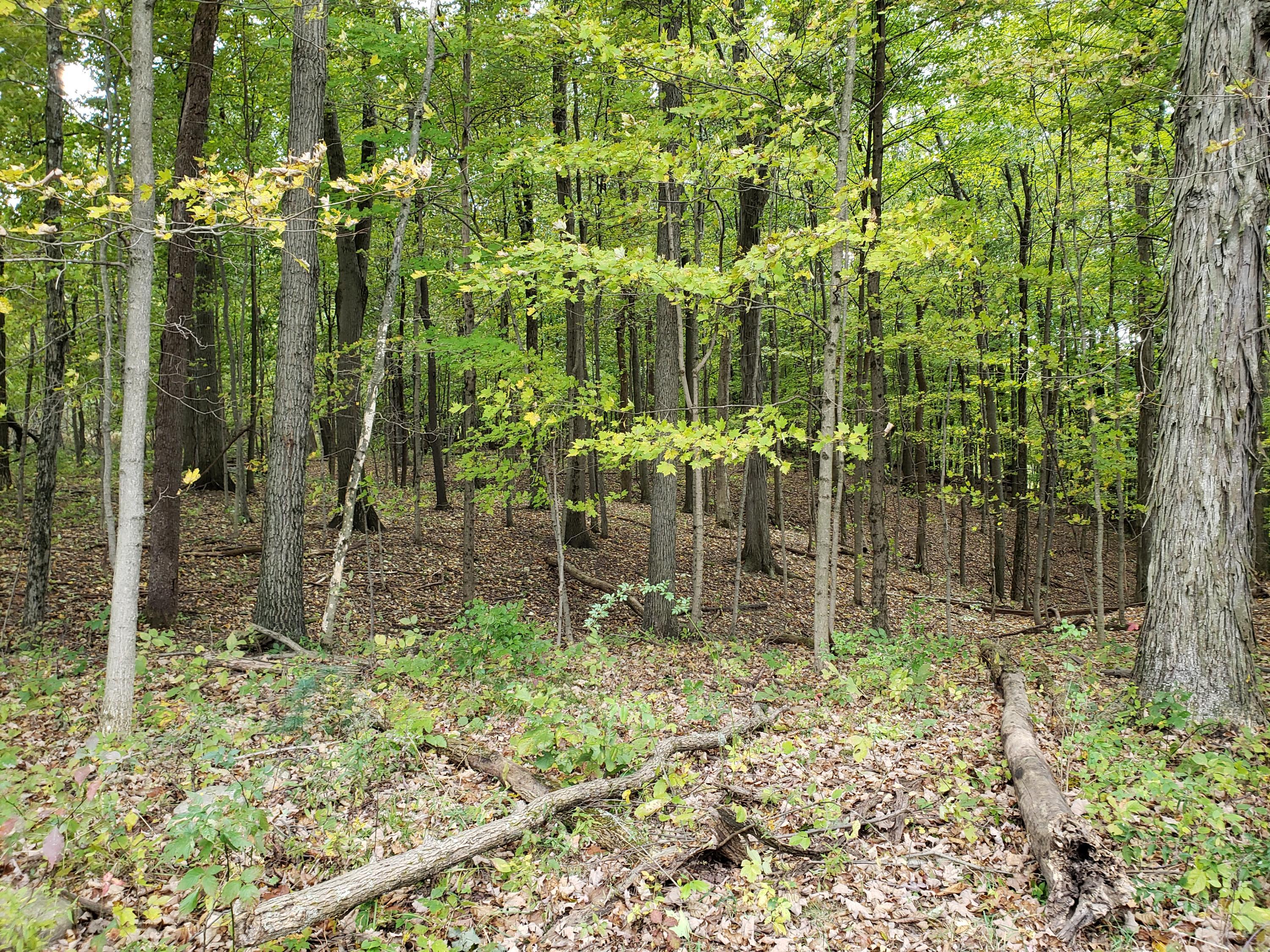6705 Red Bank Road Galena, OH 43021 - Photo 8 of 23 Gallery Image 8