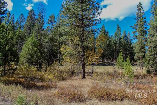 $269,000 | 110 Warner Drive, Cascade, ID 83611
