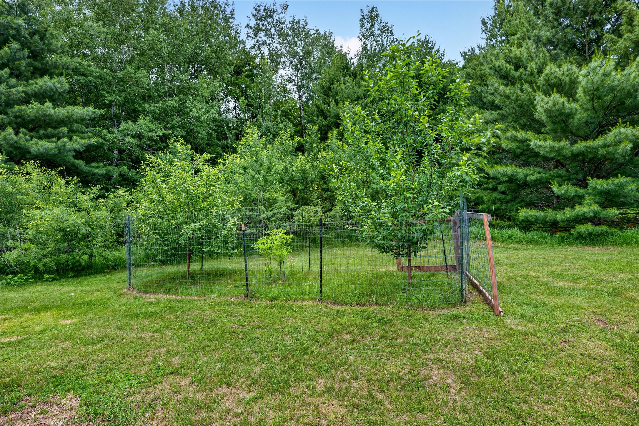 24565 Windorski Road Webster, WI 54893 - Photo 43 of 55