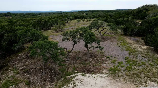 a view of a forest with a street