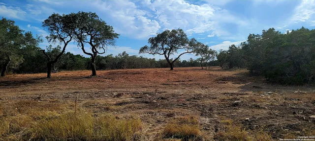 a view of dirt field with trees