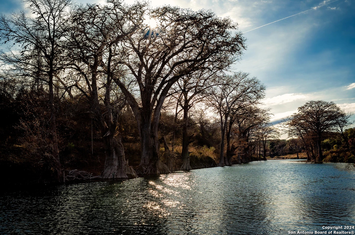 272 Restless Wind Spring Branch, TX 78070 - Photo 5 of 10 a view of outdoor space with yard