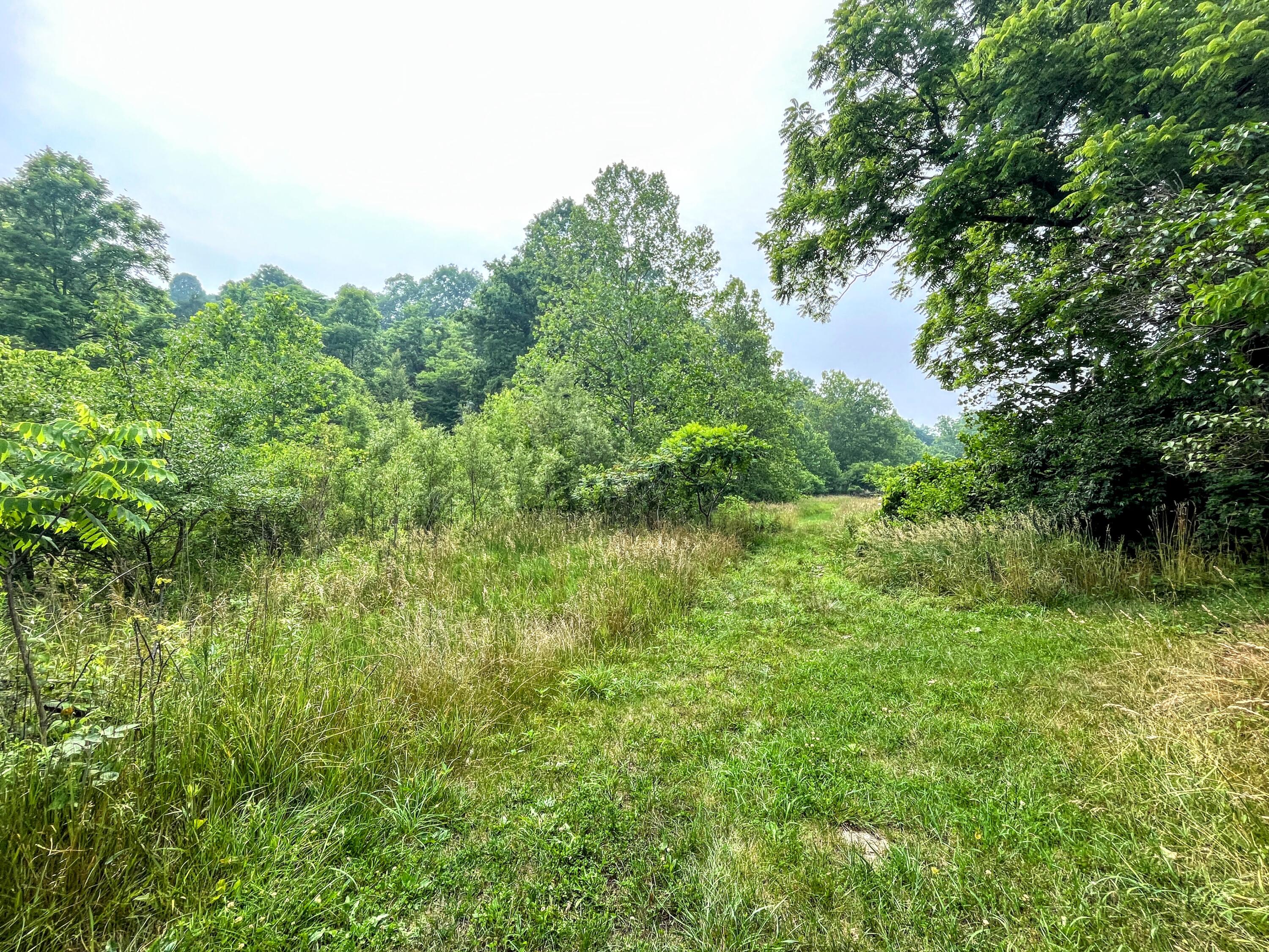 14045 Navaho Road Morning View, KY 41063 - Photo 18 of 50