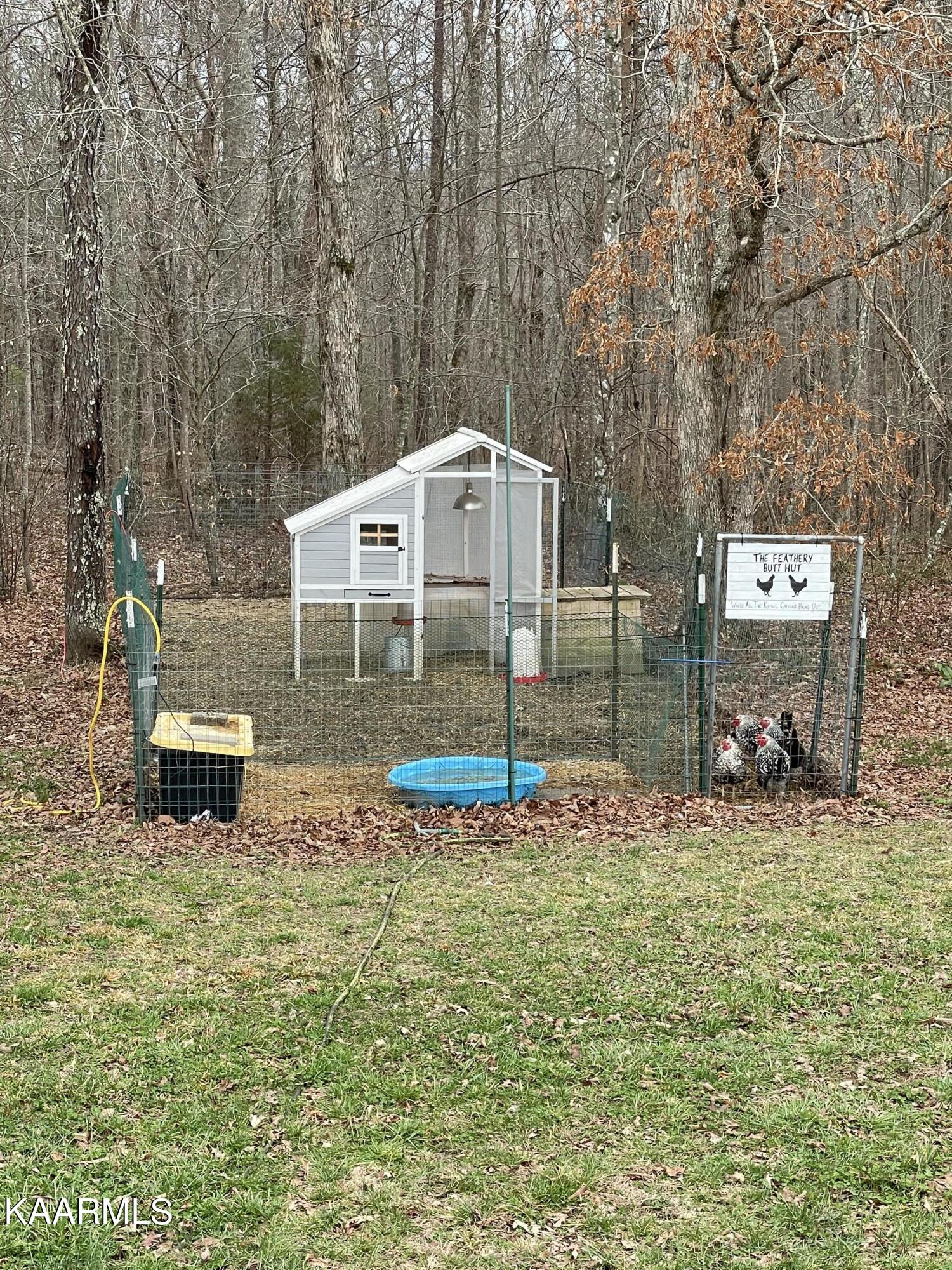 882 Jurgens Road Robbins, TN 37852 - Photo 47 of 60 IMG #47