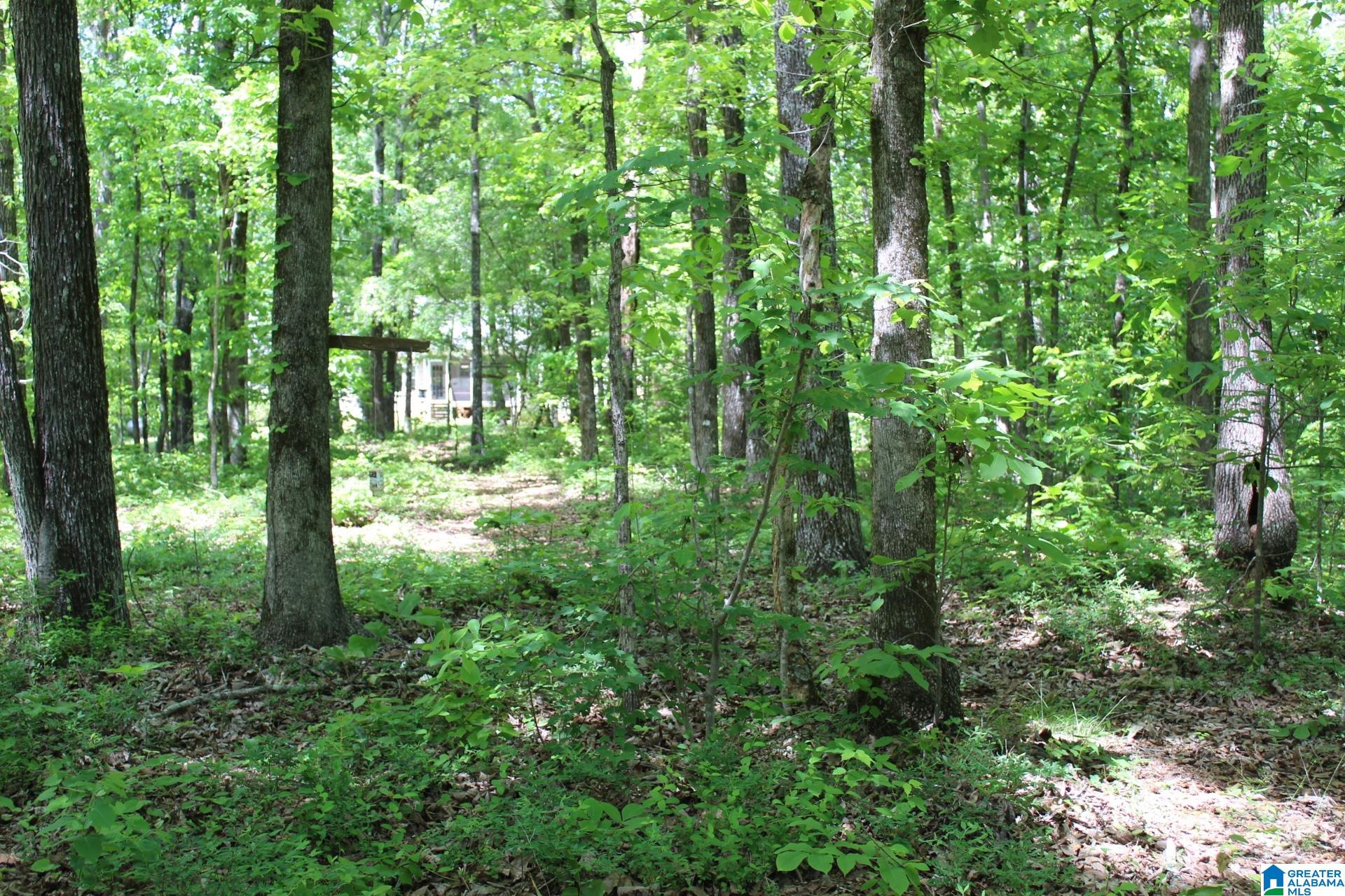 270 Duke School Road Wellington, AL 36279 - Photo 71 of 80