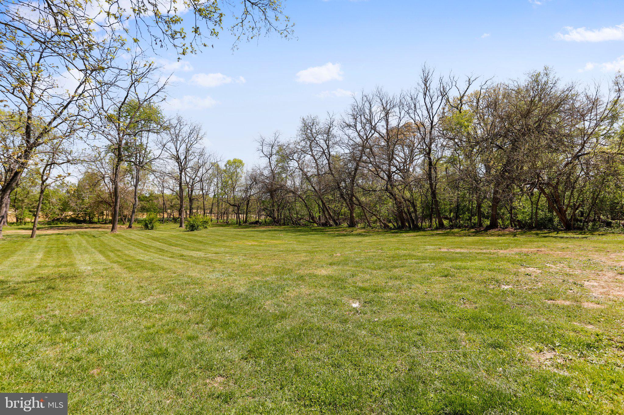 549 White Post Road White Post, VA 22663 - Photo 37 of 40 Large Flat Lot