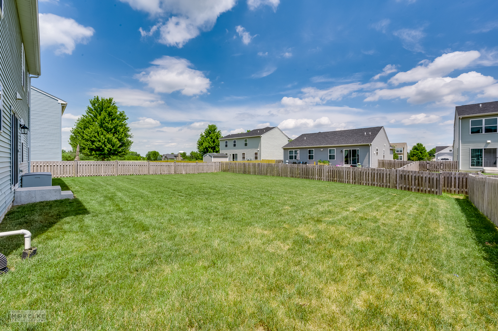 1024 Daniel Street Plano, IL 60545 - Photo 4 of 27 a view of house with backyard and a garden