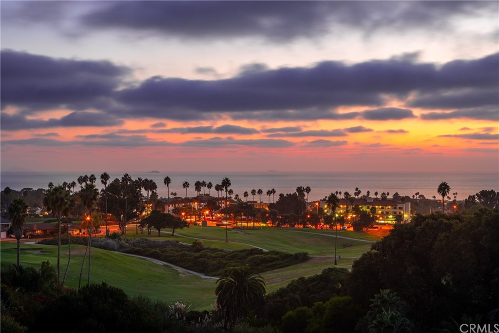 447 Avenida Crespi San Clemente, CA 92672 - Photo 3 of 42 a view of a city