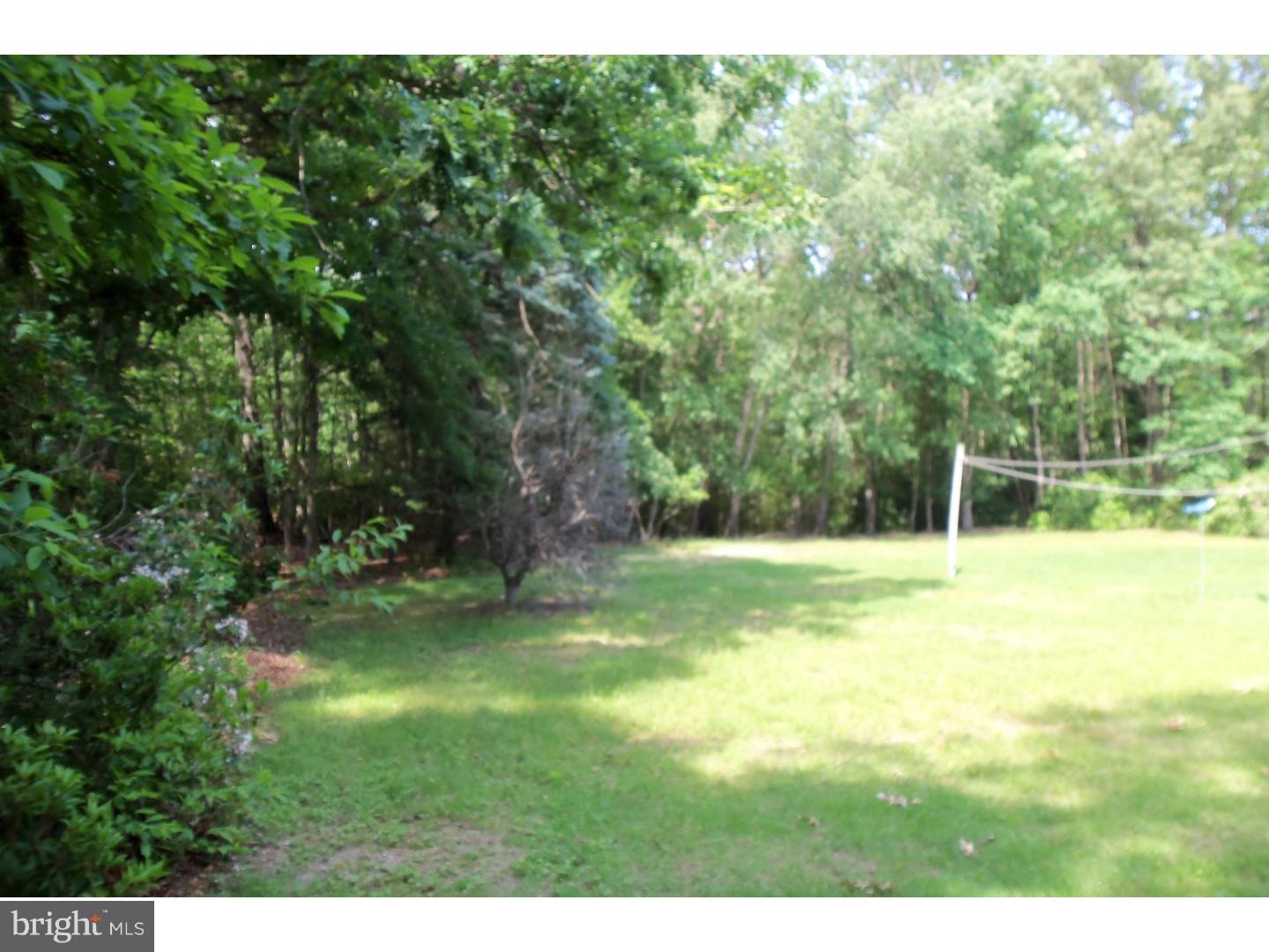 302 Three Bridge Road Monroeville, NJ 08343 - Photo 3 of 6 Back Yard
