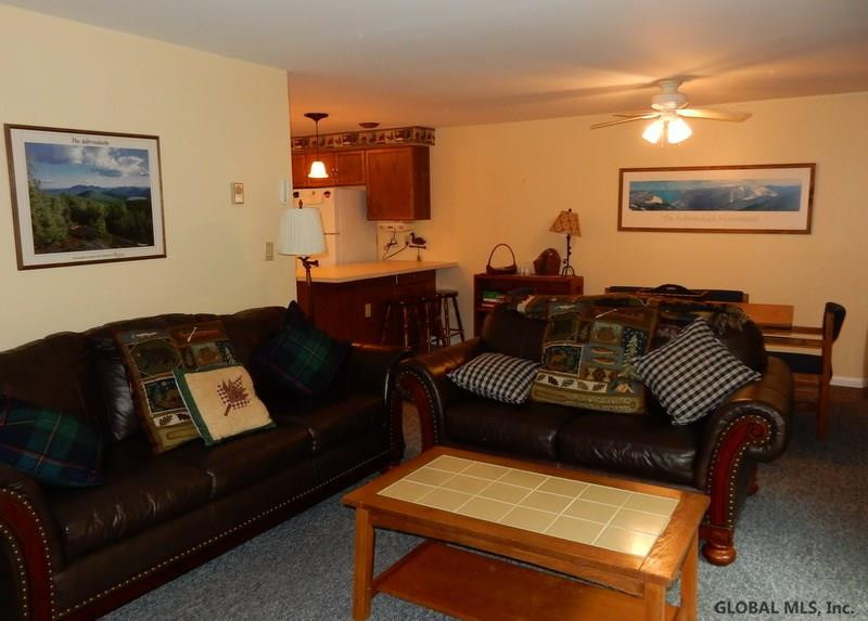 55 Summit Rd Creek North Creek, NY 12853 - Photo 8 of 16 Photo 10