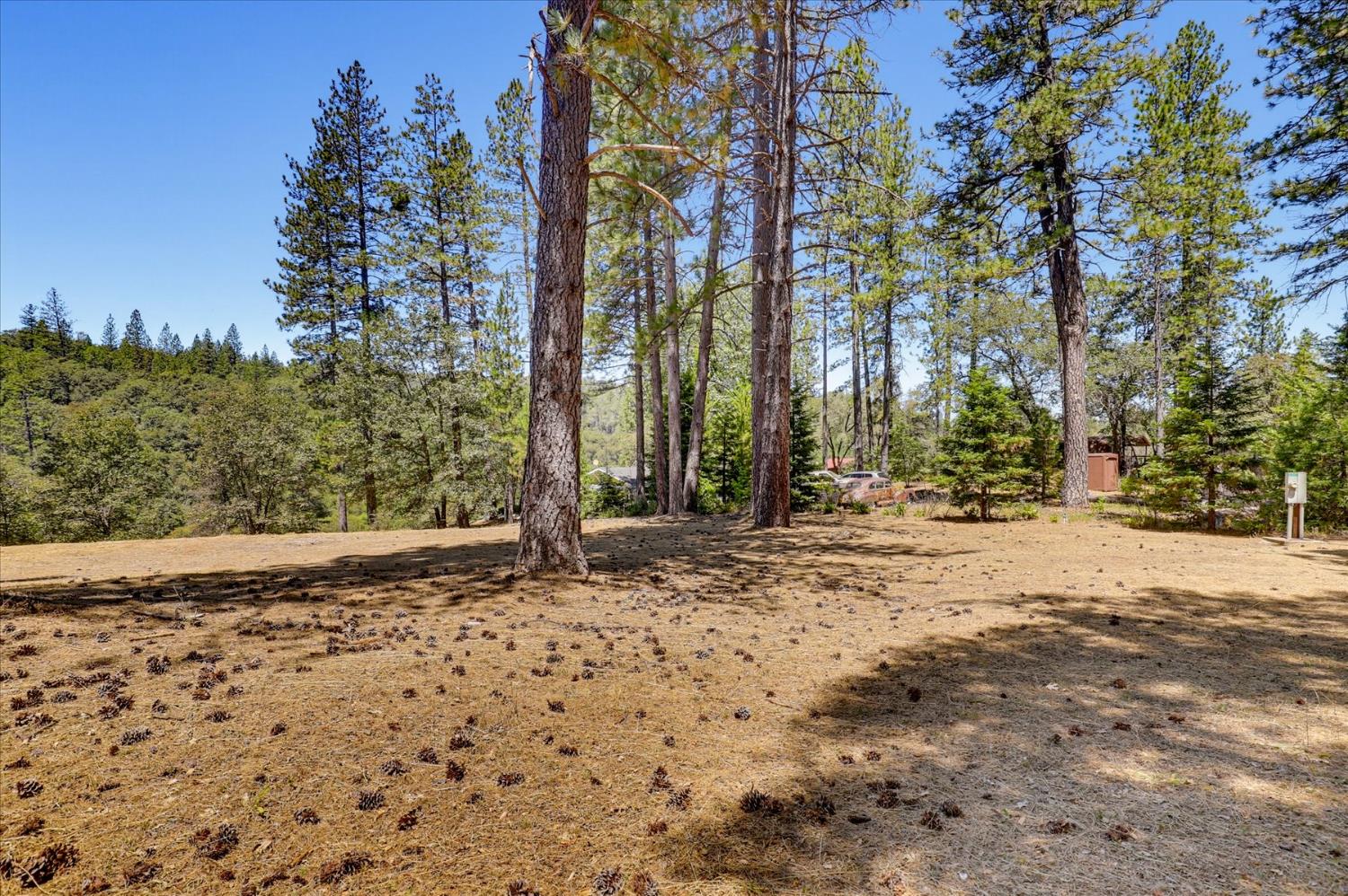 16300 Kiwi Road Grass Valley, CA 95949 - Photo 37 of 88 Gallery Image 37