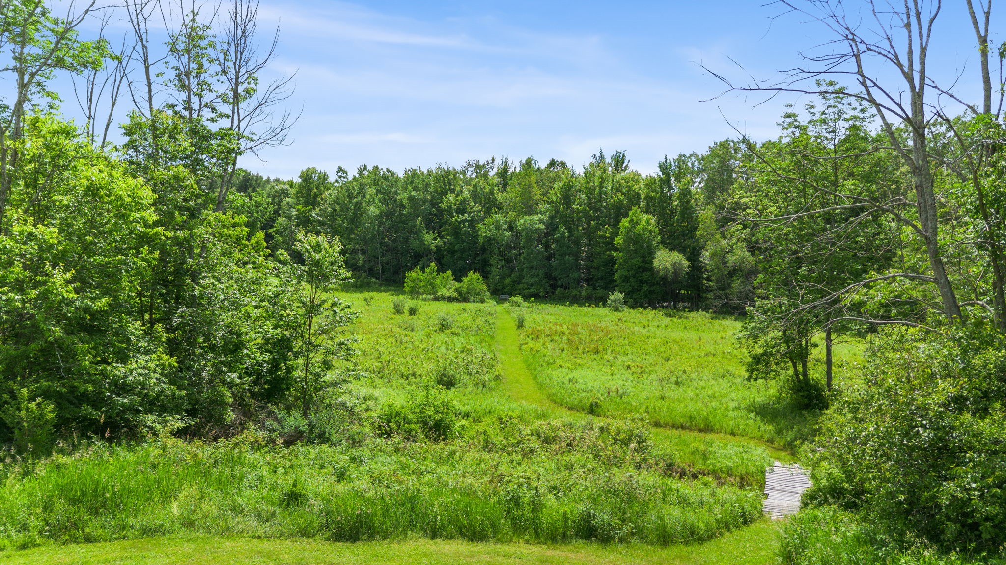 4182 Murphy Road Binghamton, NY 13903 - Photo 47 of 50